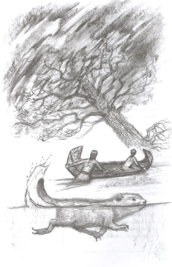 Книга Приключения Саджо и ее бобров (Серая Сова) — 4