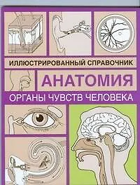 Органы чувств человека