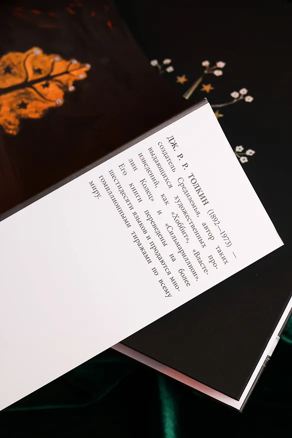 Книга Иллюстрации и зарисовки Дж. Р. Р. Толкина к "Властелину колец" (Джон Рональд Руэл Толкин) — 12