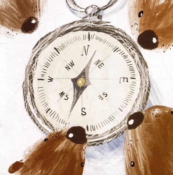 Книга Комплект из 5 книг в коробке: Карта, Маяк, Компас, Полярная звезда, Желтая стрелка (Диана Лютер, Дарья Свиридова) — 17