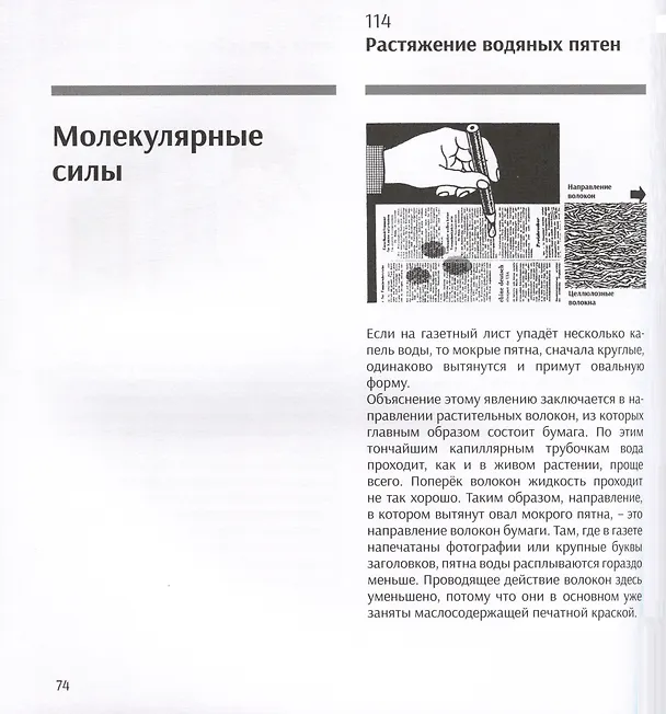 Книга Занимательная наука. Более 400 экспериментов и наблюдений за природой (Пресс Ханс Юрген Пресс) — 10