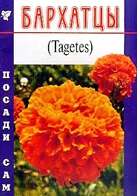 Бархатцы (Посади сам) (м)