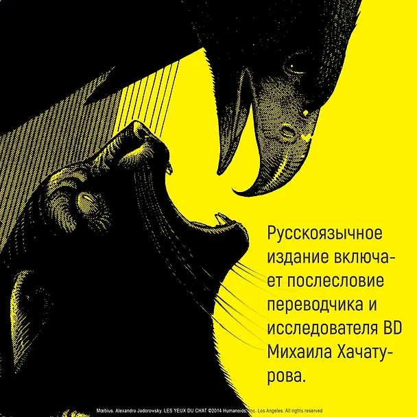 Глаза кошки 3083081 — 10