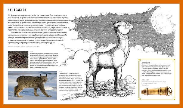 Книга Фантастические твари. Природа чудес волшебного мира (Ранульф Файнс, Хелен Скейлс, Льюис Бакли, Андреа Харт) — 9