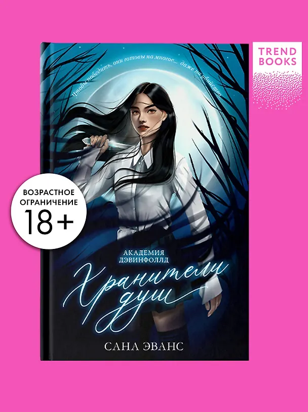 Книга Хранители душ. Академия Дэвинфоллд (Сана Эванс) — 4