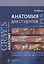 Анатомия Грея для студентов. Учебник — 2838684 — 1