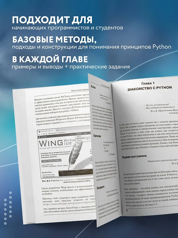 Книга Программирование на Python в примерах и задачах (Алексей Васильев) — 7