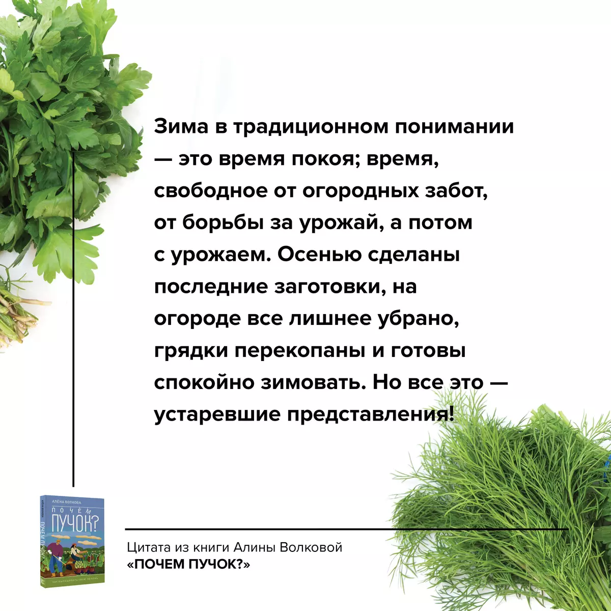 Почем пучок. Как выращивать свою зелень (Алёна Волкова) - купить книгу с  доставкой в интернет-магазине «Читай-город». ISBN: 978-5-17-160021-1