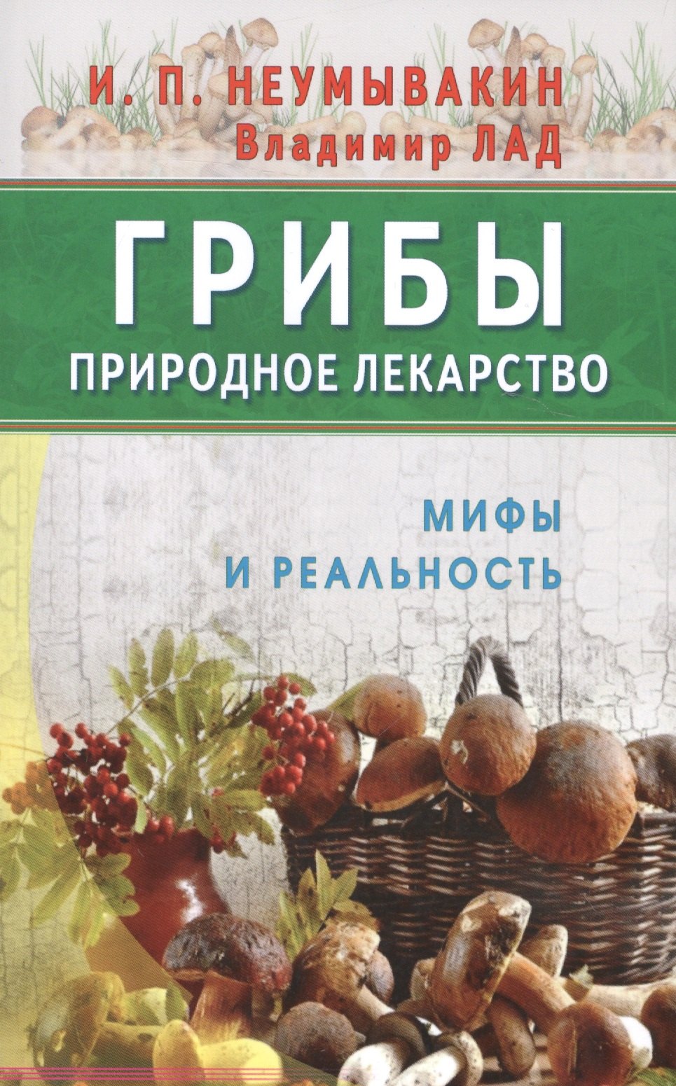 

Грибы - природное лекарство