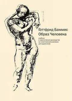 Анатомия для художников