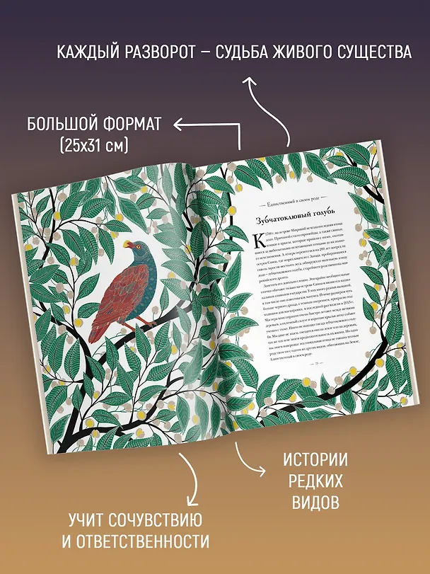 Книга Книга исчезающих животных для неравнодушных сердец (Милли Маротта) — 5