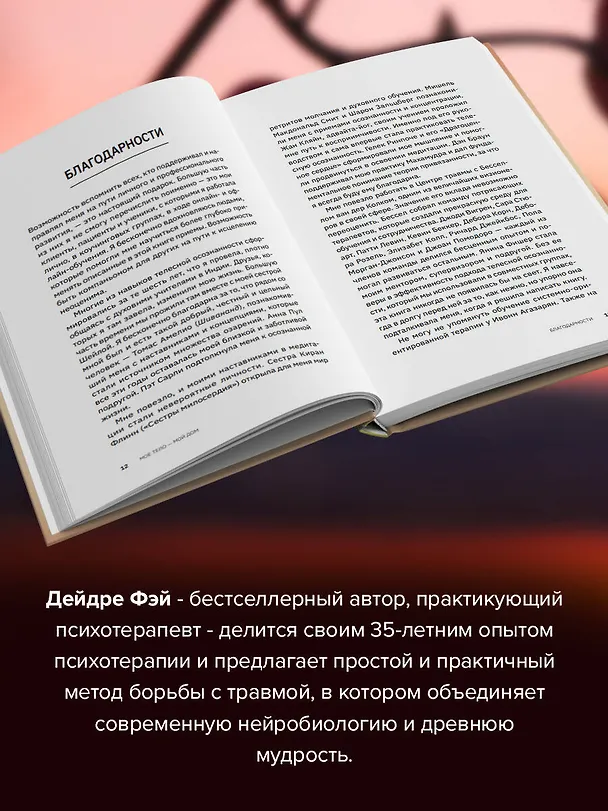 Книга МОЕ ТЕЛО – МОЙ ДОМ.  Телесная осознанность для исцеления травм и работы с разрушающими эмоциями (Дейдре Фэй) — 6