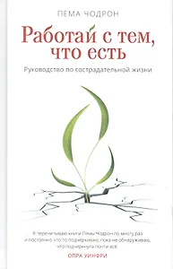 Работай с тем, что есть. Руководство по сострадательной жизни