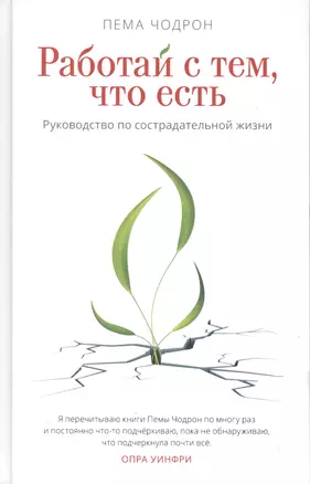 Работай с тем, что есть. Руководство по сострадательной жизни — 2765238 — 1