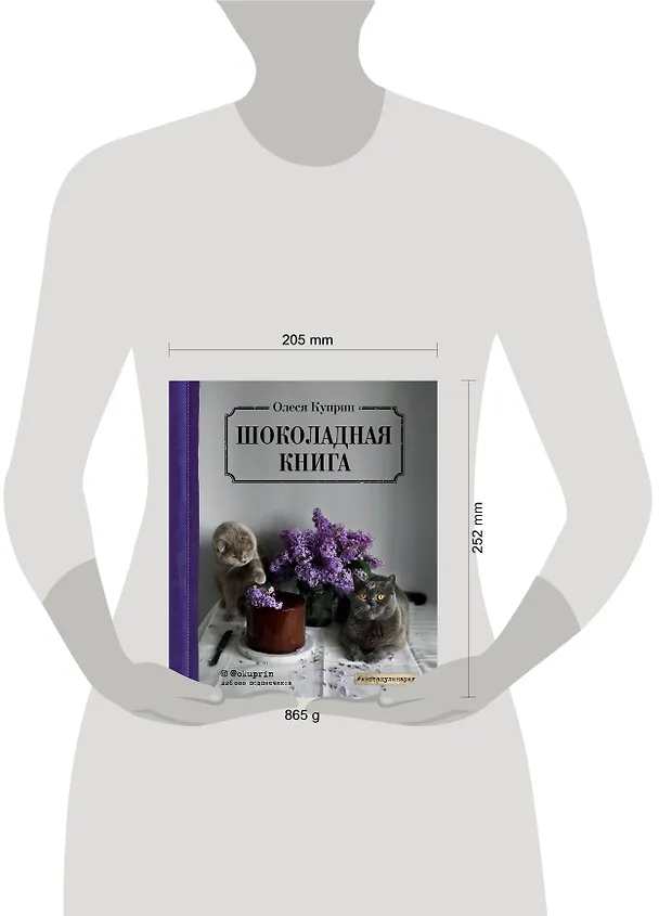 Книга Шоколадная книга (Олеся Куприн) — 5