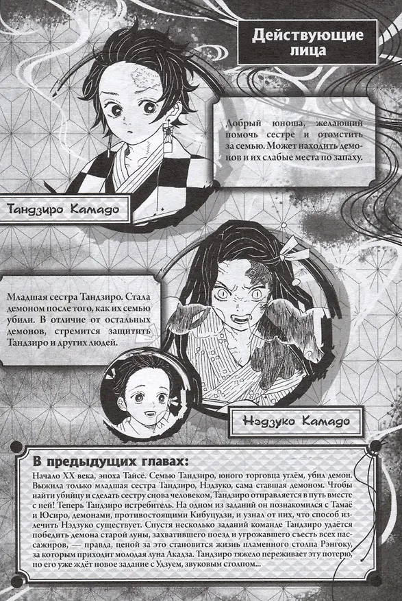 Истребитель демонов. Том 9 (Клинок, рассекающий демонов / Demon Slayer: Kimetsu no Yaiba). Манга 2977306 — 4
