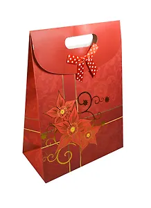 Пакет подарочный бумажный А5 19*8,5*27 "Цветок узор на красном" на липучке, мат. ламинат, выруб. ручка, M
