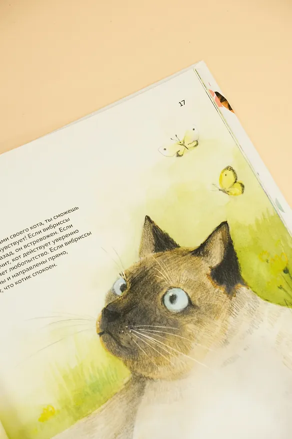 Книга Невероятные коты. Всё, что нужно знать о любимых питомцах (Кароль Бурсе) — 11