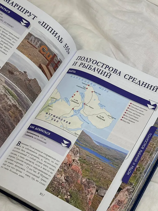 Книга Настоящая Россия (Федор Дядичев) — 7