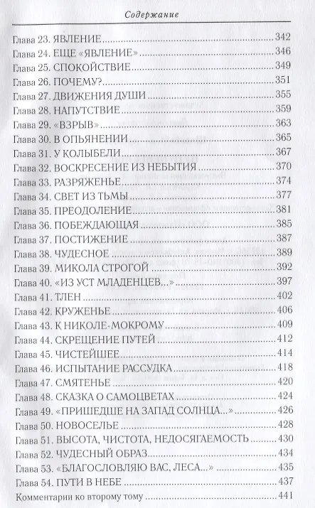 Книга Пути небесные (Иван Шмелев) — 4