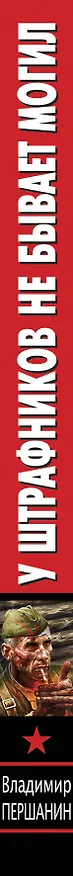 Книга У штрафников не бывает могил (Владимир Першанин) — 3