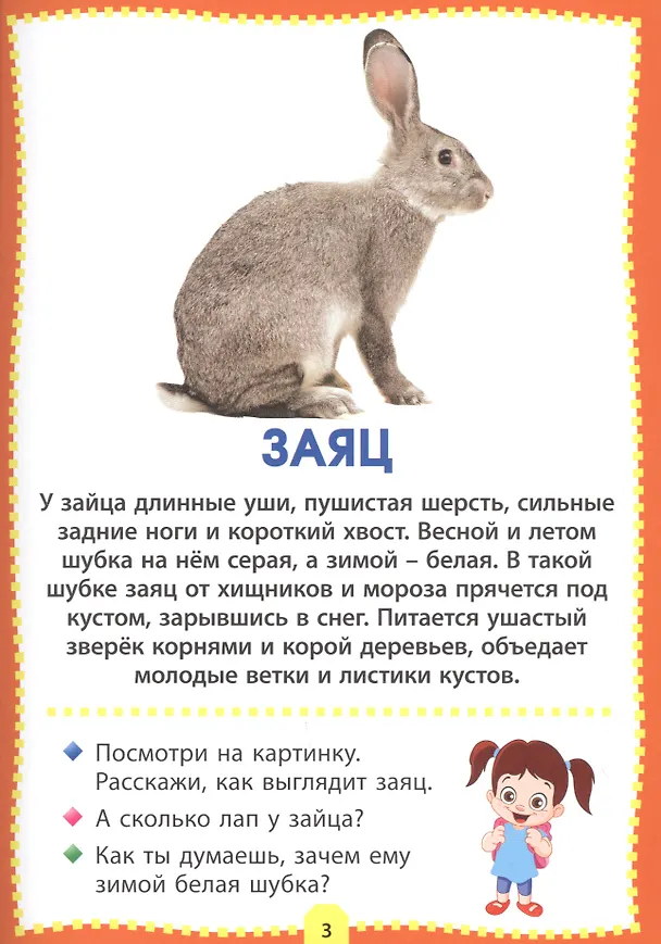 Книга Лесные животные. Фотокнига для самых маленьких () — 3