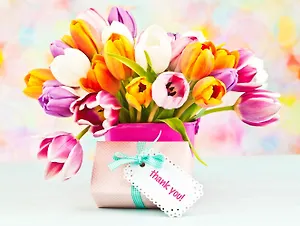 Холст с красками 30х40см. по номерам (20 цв.) Яркие тюльпаны (Арт. Х-9033)