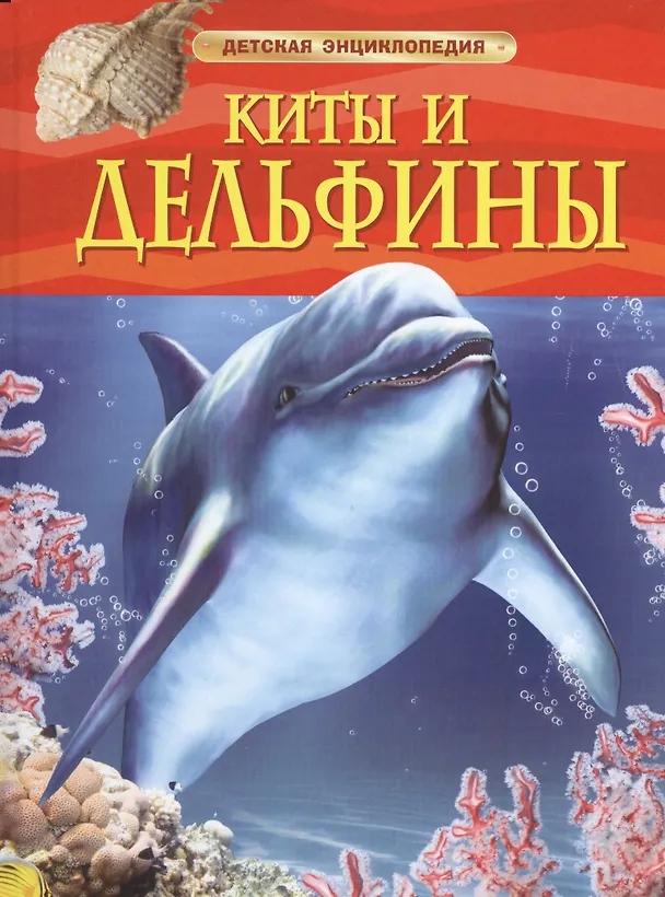 Книга Киты и дельфины (Сюзанна Дэвидсон) — 2