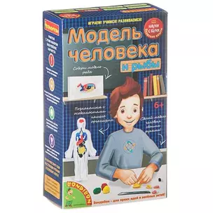 Игровой набор, Японские опыты Науки с Буки Bondibon/Бондибон Модель человека 196408 — 338417 — 1