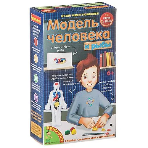 Игровой набор, Японские опыты Науки с Буки Bondibon/Бондибон Модель человека 196408 338417 — 1