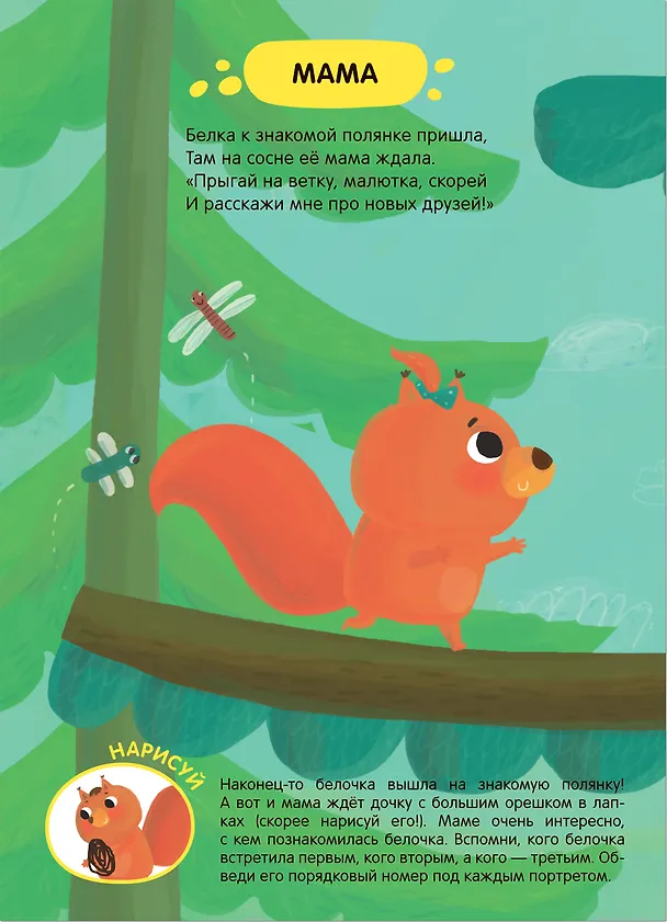 Книга Задания и задачки для малышей 2+. Белочка в лесу. Формы, счет (Мария Романова) — 4