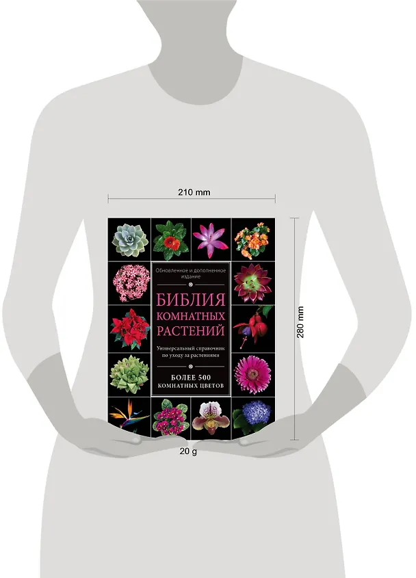 Книга Библия комнатных растений. (Обновленное и дополненное издание) (Ирина Березкина) — 5