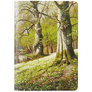 Тетрадь в клетку Art-Blanc, Monsted, 40 листов 251548