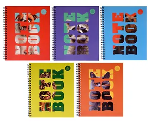 Тетрадь 96л кл. "Зоо микс" гребень, мел.картон, выб.лак. 2-я обложка-разделитель: мел.картон, ассорти 3044270
