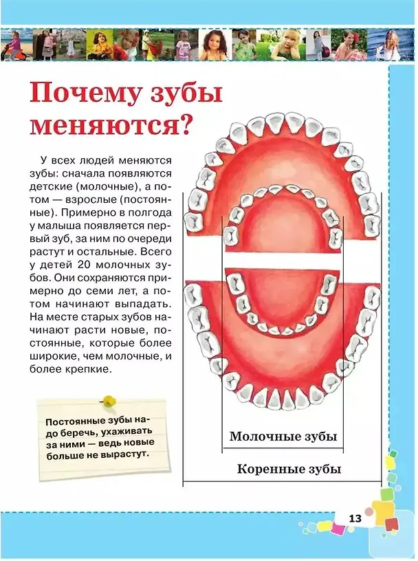 Книга Первая энциклопедия для девочек (Елена Чайка, Дарья Ермакович) — 9