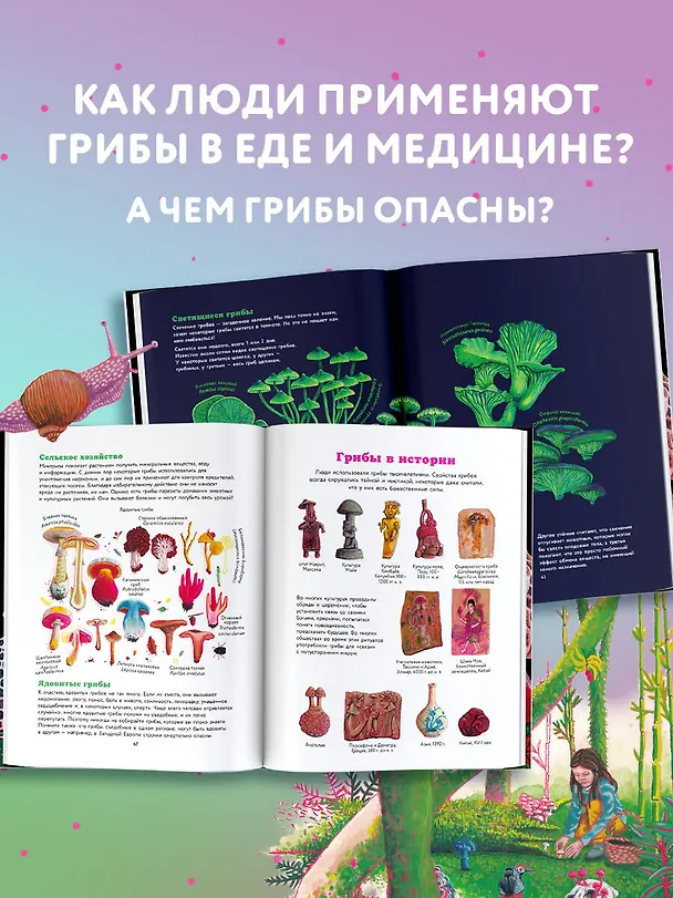 Книга Царство грибов (Октавия Москатти) — 7
