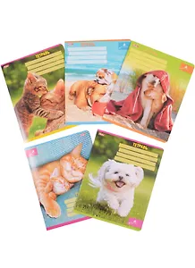 Тетрадь в клетку Hatber, "Милашки (Avanti)", 18 листов, в ассортименте