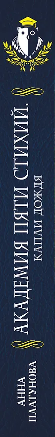 Книга Академия Пяти Стихий. Капли дождя (Анна Платунова) — 3
