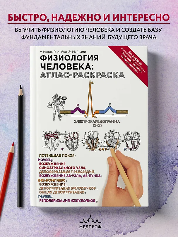 Книга Физиология человека: атлас-раскраска (Уинн Кэпит, Роберт Мейси, Эсмаил Мейсами) — 6