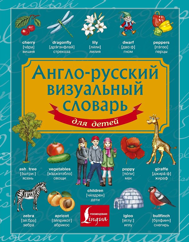 Книга Англо-русский визуальный словарь для детей () — 1