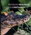 Книга Не родись красивым, а родись счастливым! (Том Вандербук) — 1