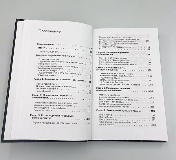 Книга Паутинный капитализм. Как глобальные элиты эксплуатируют пограничные рынки (Кимберли Кей Хоанг) — 2