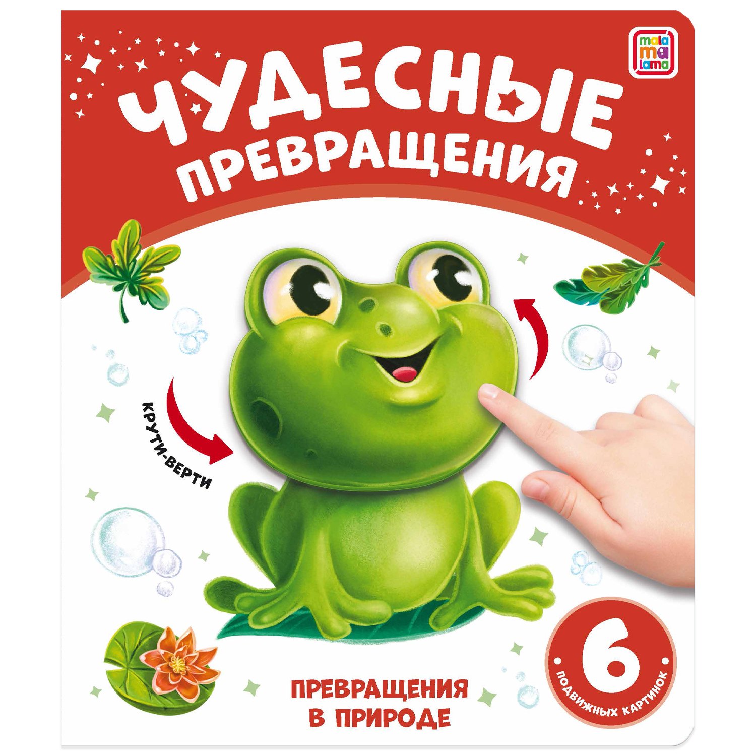 

Чудесные превращения. Превращения в природе