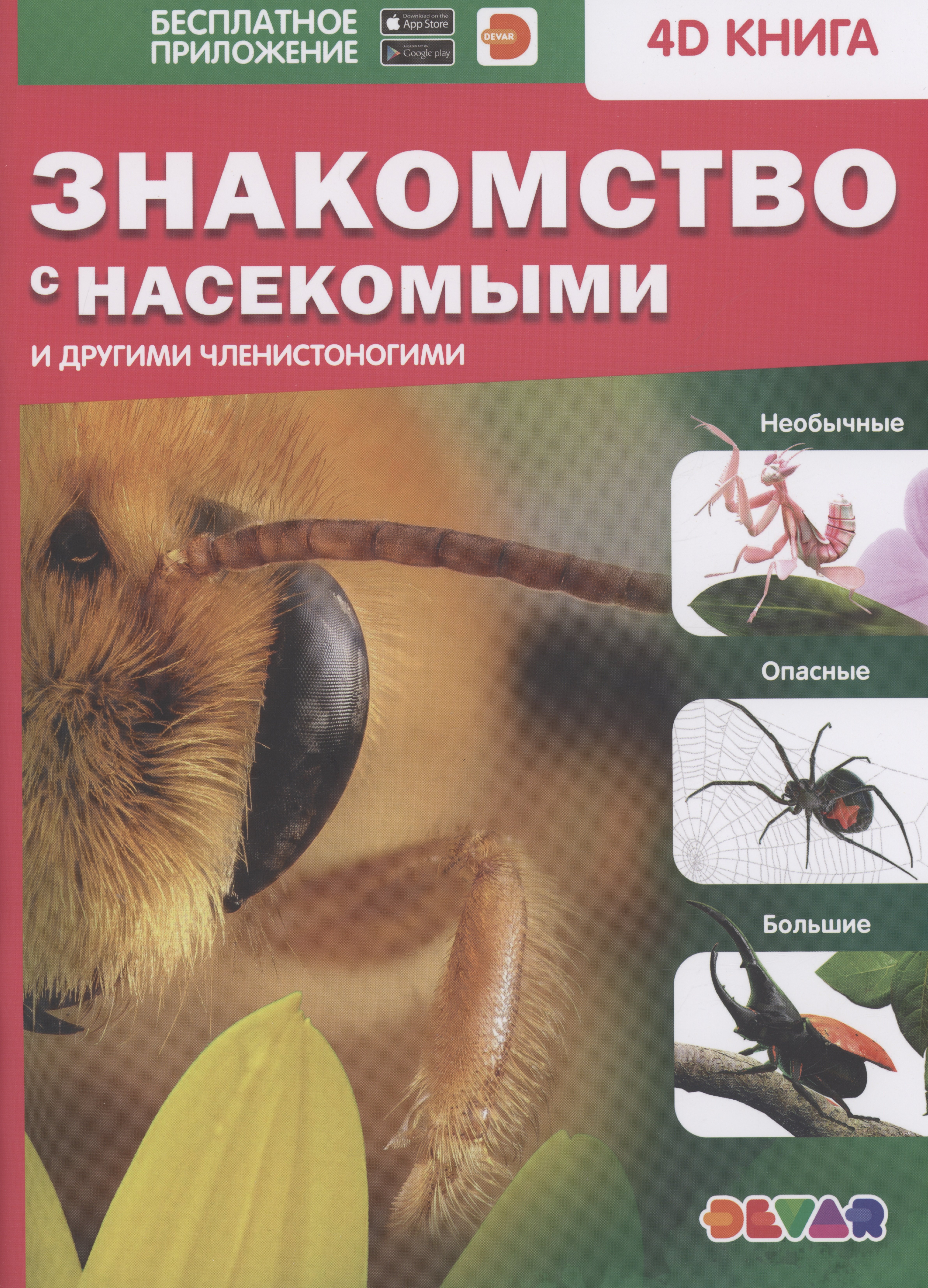 

Знакомство с насекомыми и другими членистоногими