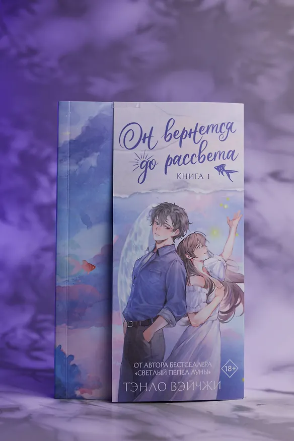 Книга Он вернется до рассвета. Книга 1 (Тэнло Вэйчжи) — 10