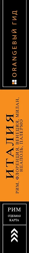 Книга ИТАЛИЯ: Рим, Флоренция, Венеция, Милан, Неаполь, Палермо : путеводитель + карта. 7-е изд., испр. и доп. (Лев Арье, Игорь Тимофеев) — 3