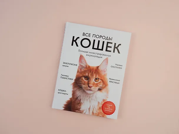 Книга Все породы кошек. Большая иллюстрированная энциклопедия (Алина Ярощук) — 5