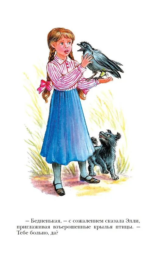 Книга Урфин Джюс и его деревянные солдаты (Александр Волков) — 9