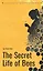 The secret life of bees / Тайная жизнь пчел — 3173519 — 1