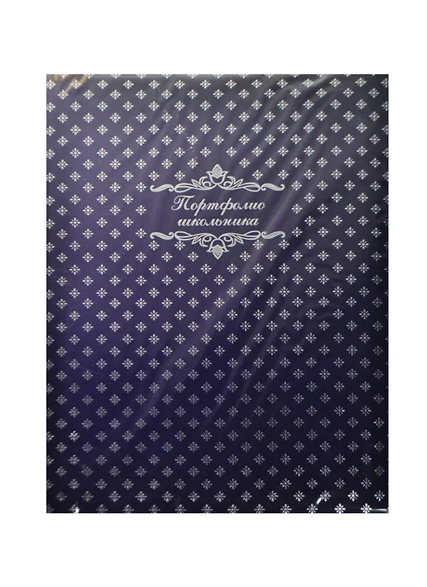 Портфолио школьника А4 "ФАКТУРА СИНИЙ" тв.карт.обложка, поролон, глянц.ламинация, тиснение фольгой, 20 файлов, 7 карт.листов, инд.уп., Феникс 235258 — 1